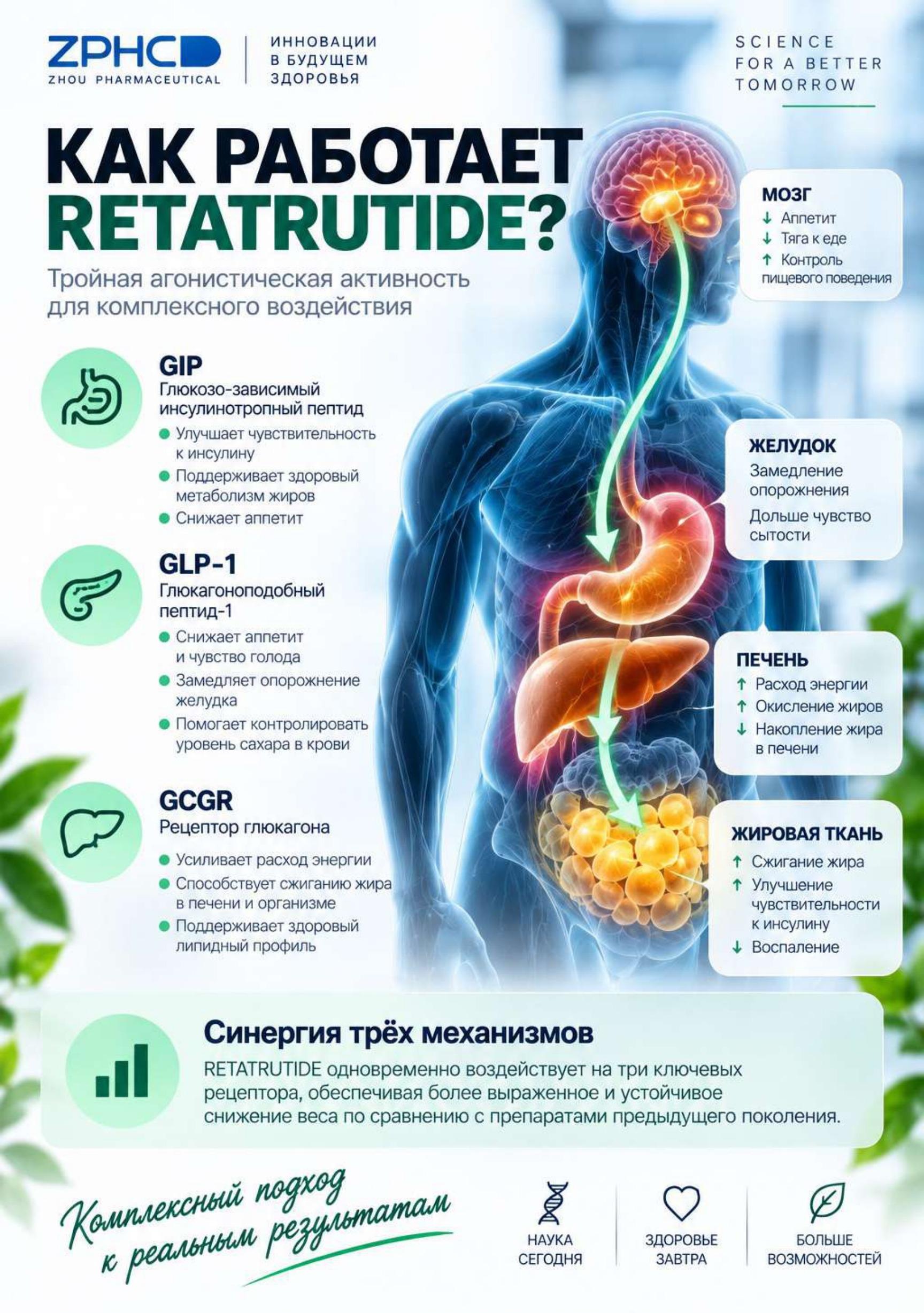 Как работает Retatrutide: полный слайд механизма — GIP, GLP-1, GCGR, целиком без обрезки